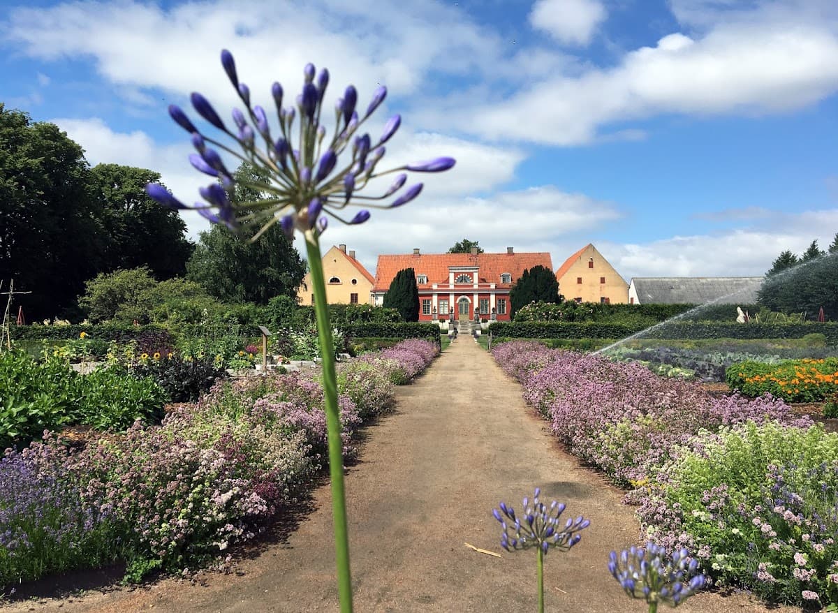 Katrinetorp Landeri - Photo 1