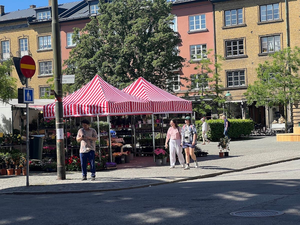 Odd & Fancy - Photo 1